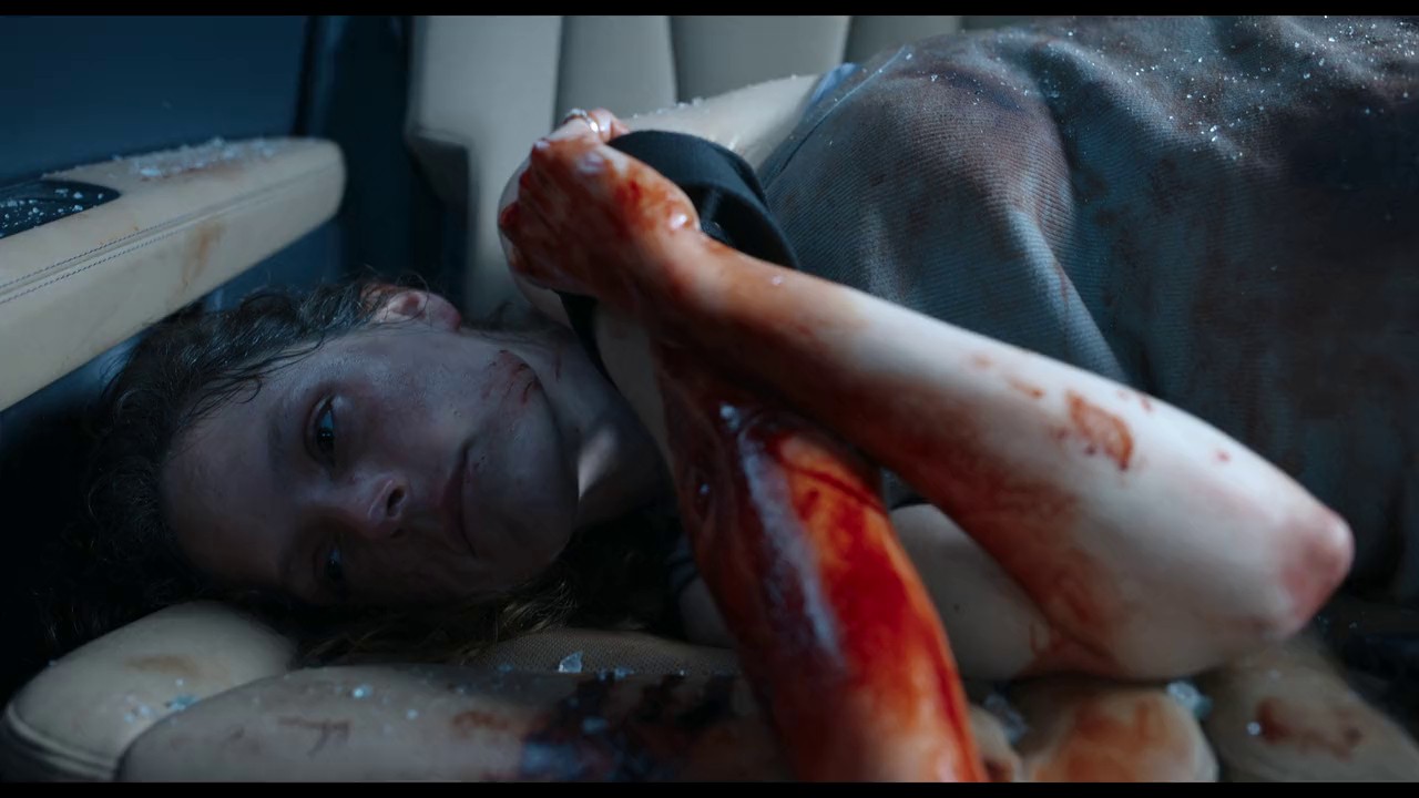 Ad Vitam (2025) WEBRip Hin + Eng + Tam + Tel 720p x264 AVC DDP 5.1 MSub.mkv.0004